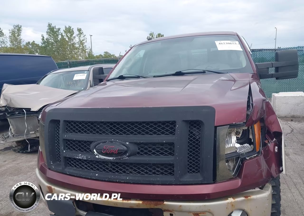 2010 Ford F-150 Fx4-Lariat-Xl-Xlt VIN:1FTFX1EV4AFC70251 - 12