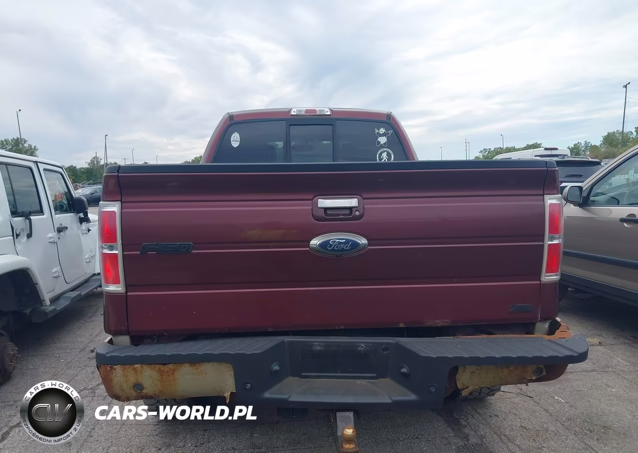 2010 Ford F-150 Fx4-Lariat-Xl-Xlt VIN:1FTFX1EV4AFC70251 - 16