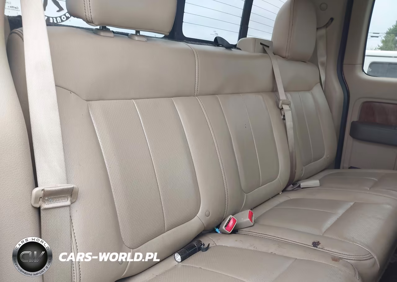 2010 Ford F-150 Fx4-Lariat-Xl-Xlt VIN:1FTFX1EV4AFC70251 - 8