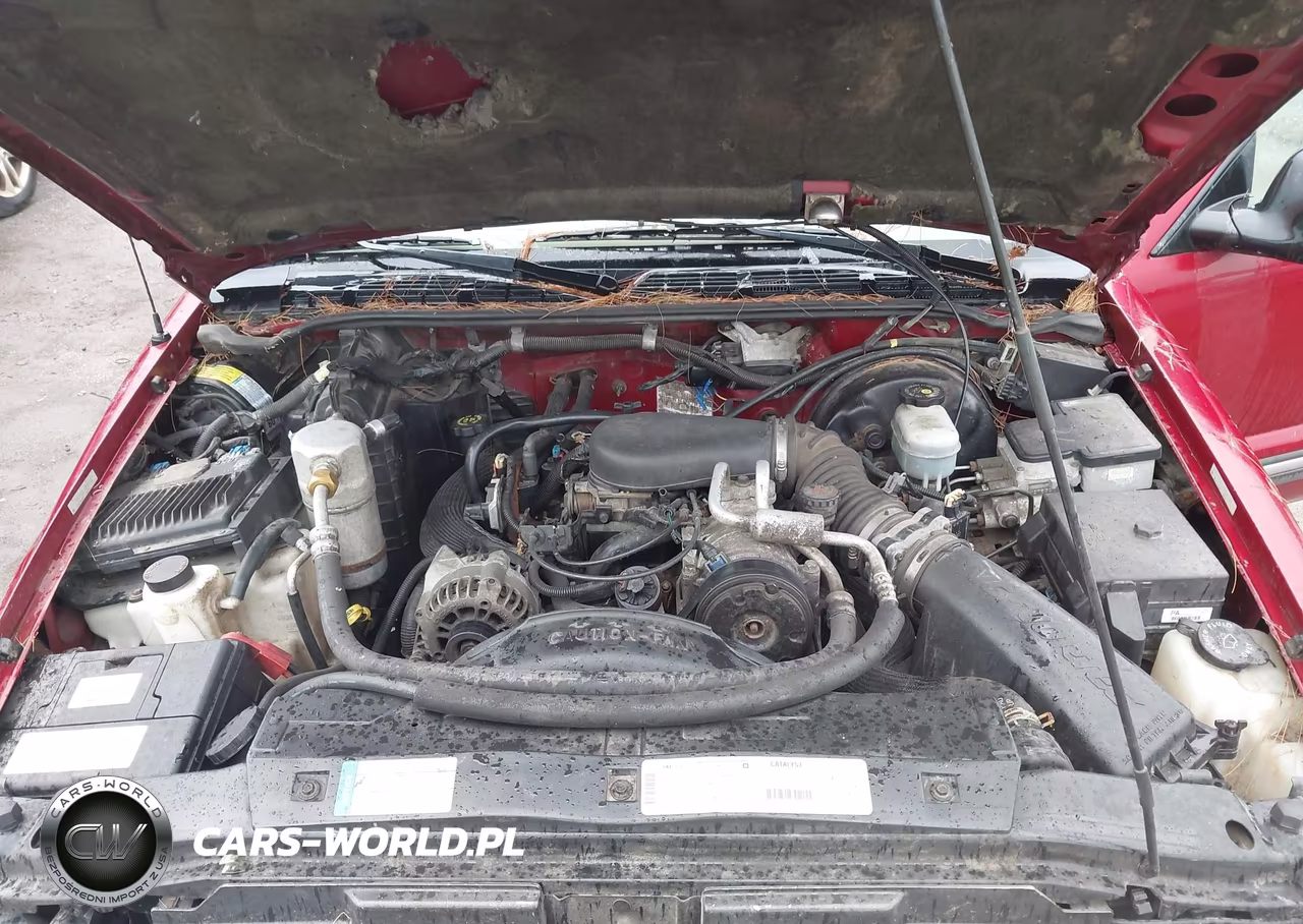 1998 Chevrolet S-10 Ls VIN:1GCCS19X7W8213034 - 10