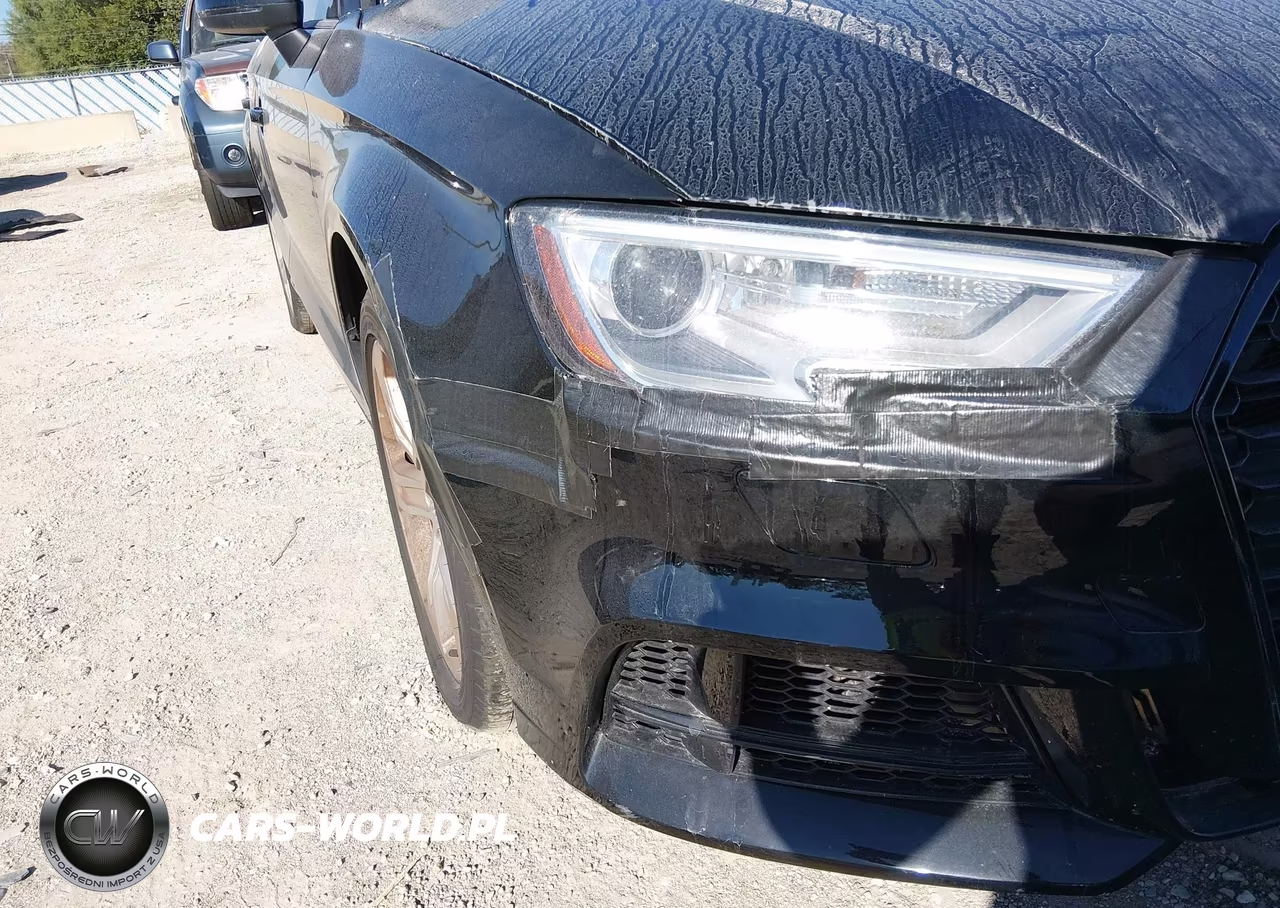 2017 Audi A3 2.0T Premium VIN:WAUAUGFF0H1067178 - 17