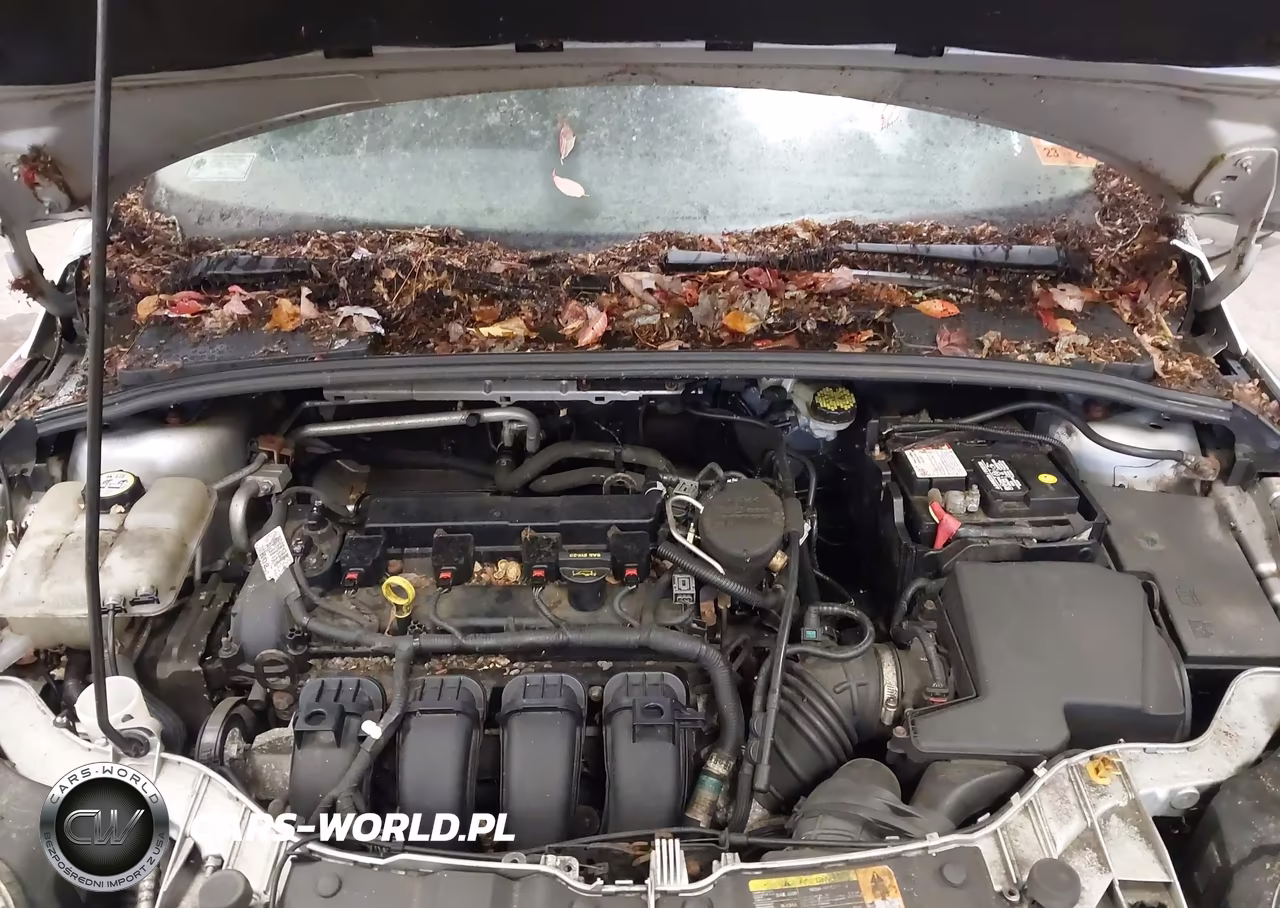 2013 Ford Focus Se VIN:1FADP3F27DL110898 - 10