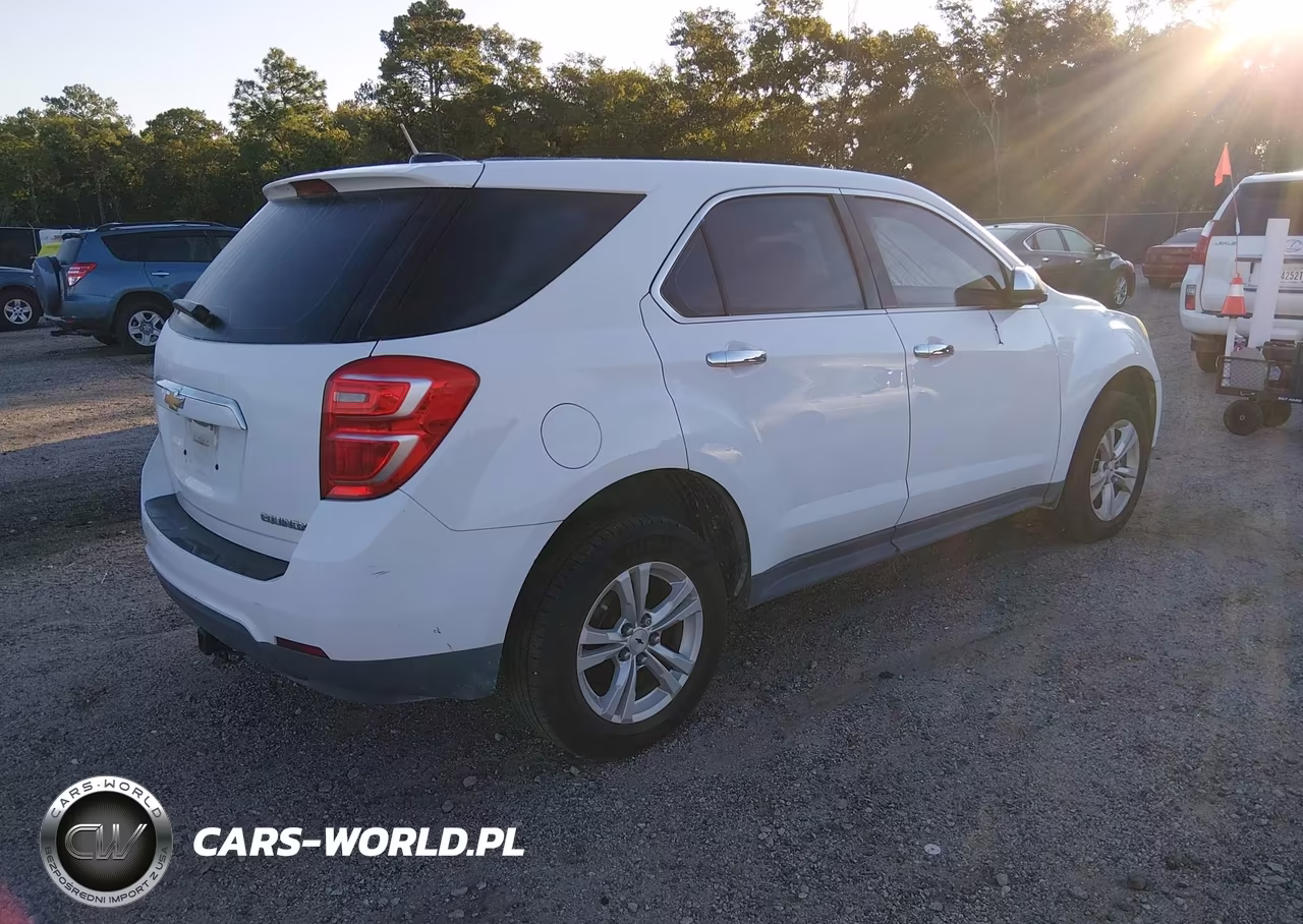 2016 Chevrolet Equinox Ls VIN:2GNALBEK4G6203502 - 4