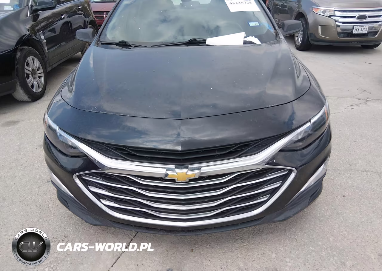 2019 Chevrolet Malibu 1Fl VIN:1G1ZC5ST8KF183420 - 12