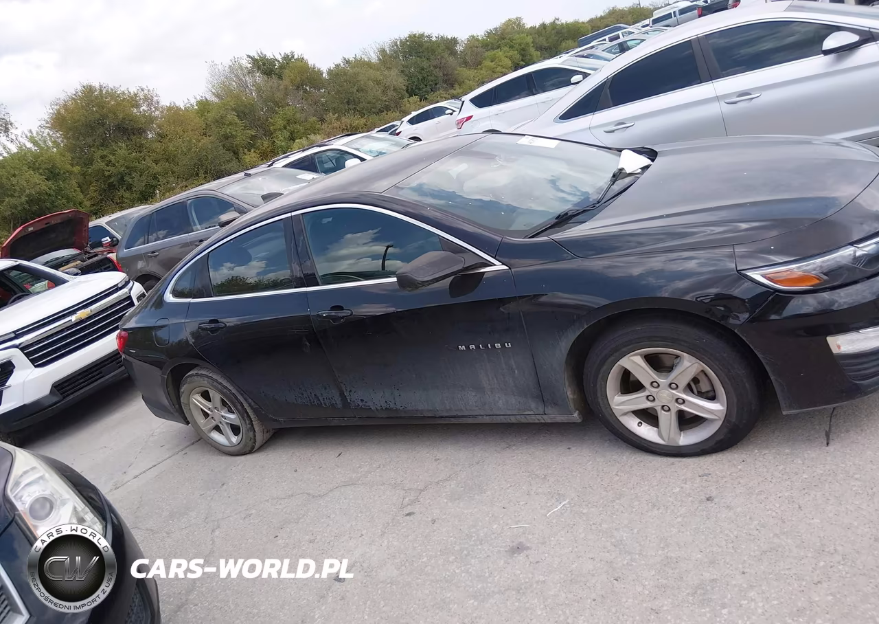 2019 Chevrolet Malibu 1Fl VIN:1G1ZC5ST8KF183420 - 13