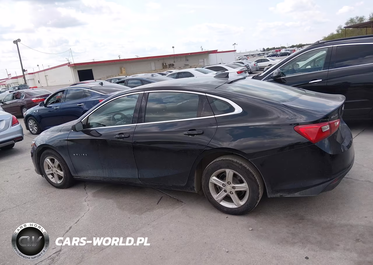 2019 Chevrolet Malibu 1Fl VIN:1G1ZC5ST8KF183420 - 14