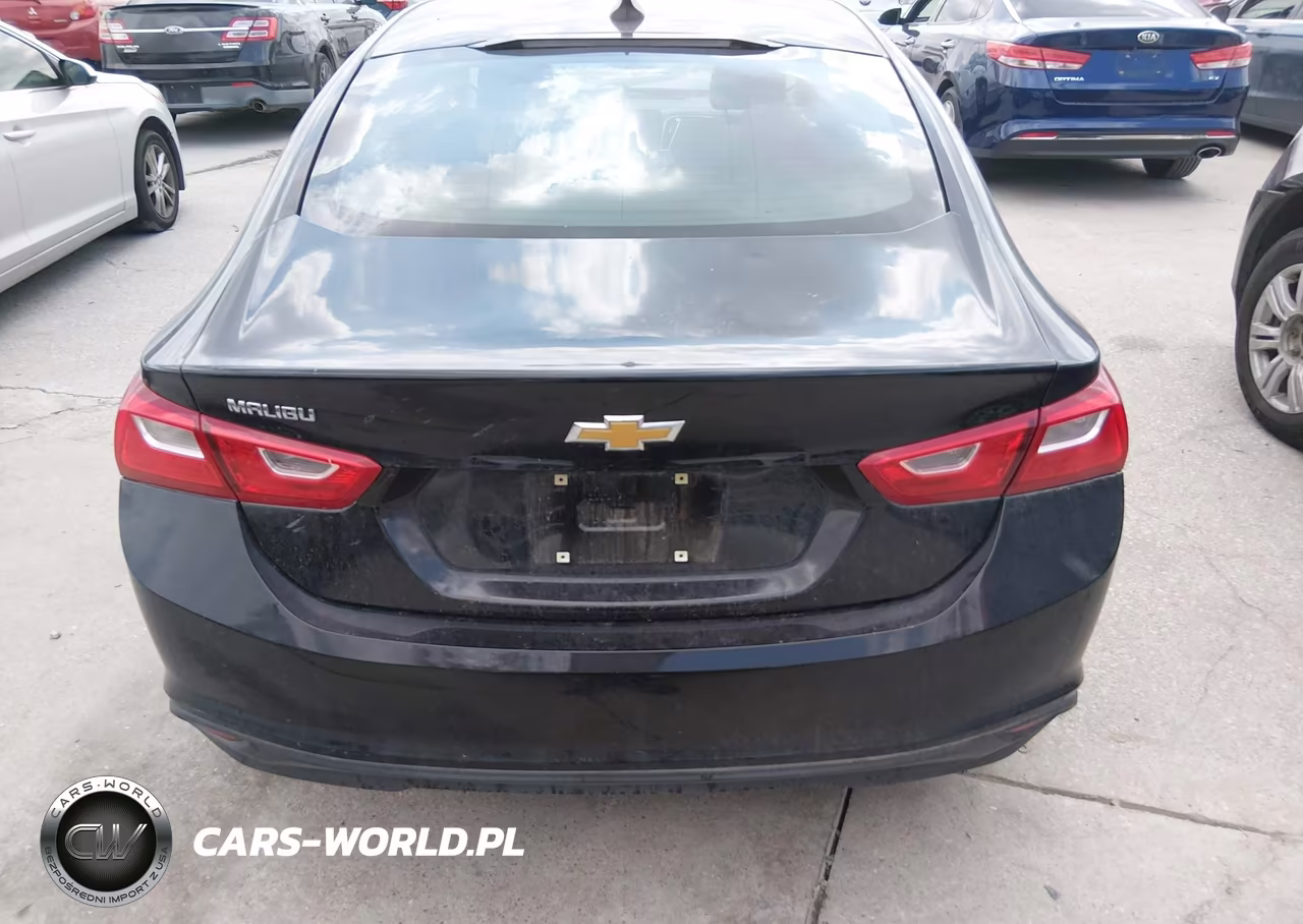 2019 Chevrolet Malibu 1Fl VIN:1G1ZC5ST8KF183420 - 16