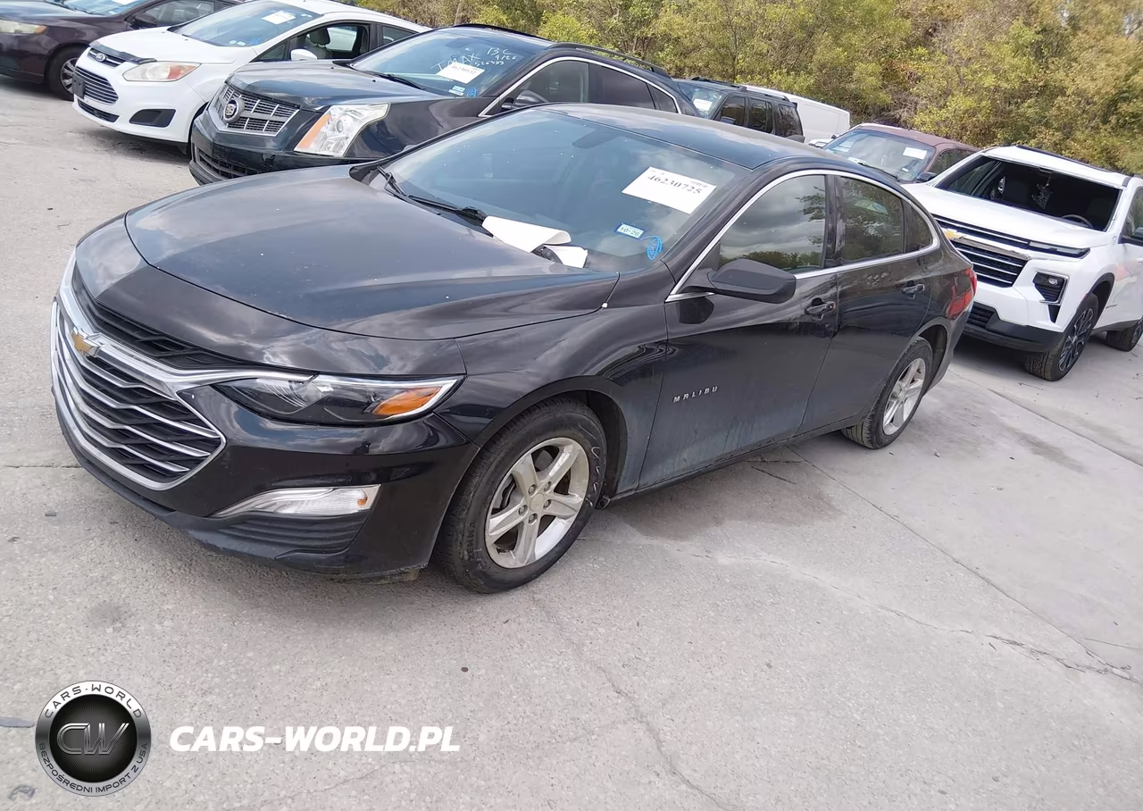 2019 Chevrolet Malibu 1Fl VIN:1G1ZC5ST8KF183420 - 2