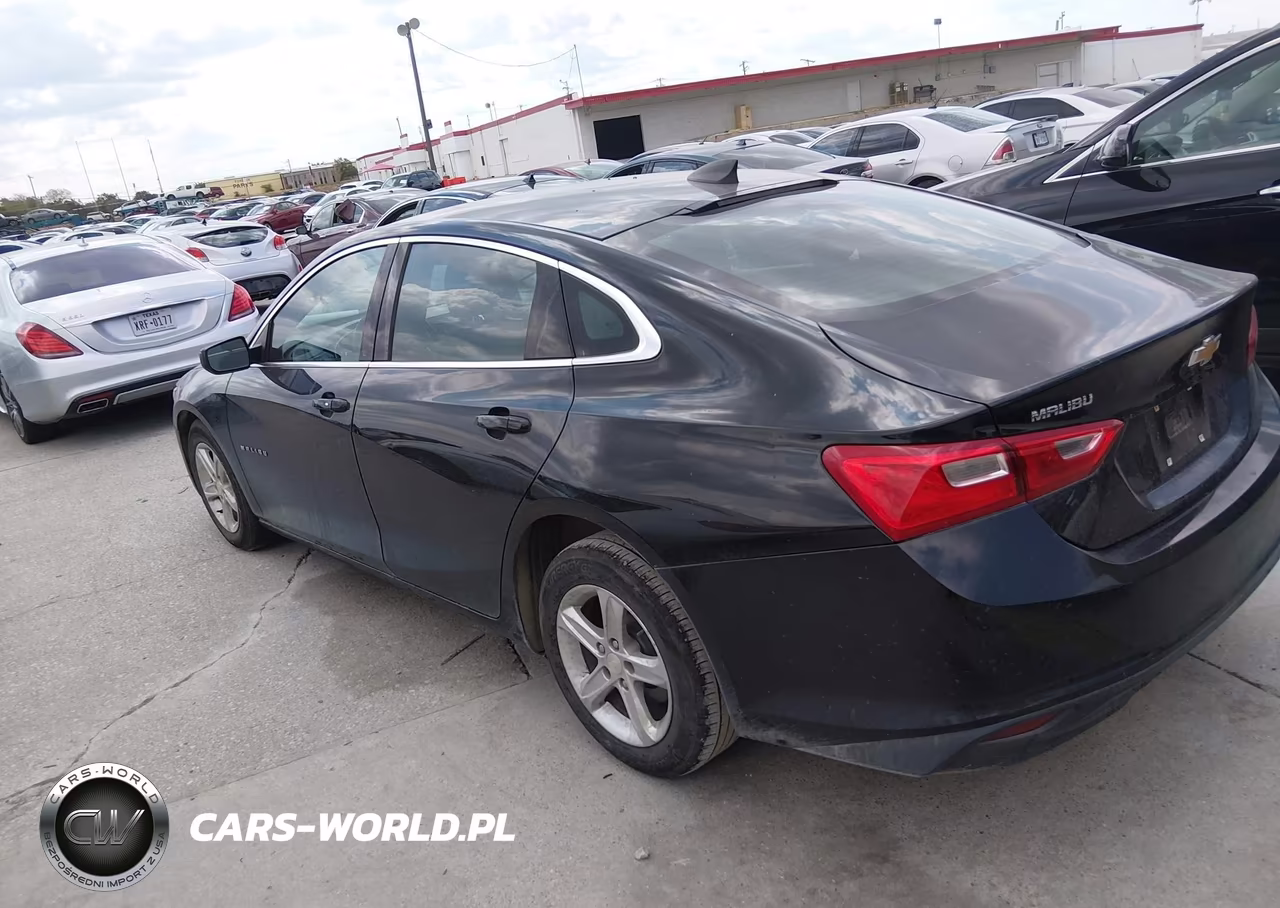 2019 Chevrolet Malibu 1Fl VIN:1G1ZC5ST8KF183420 - 3
