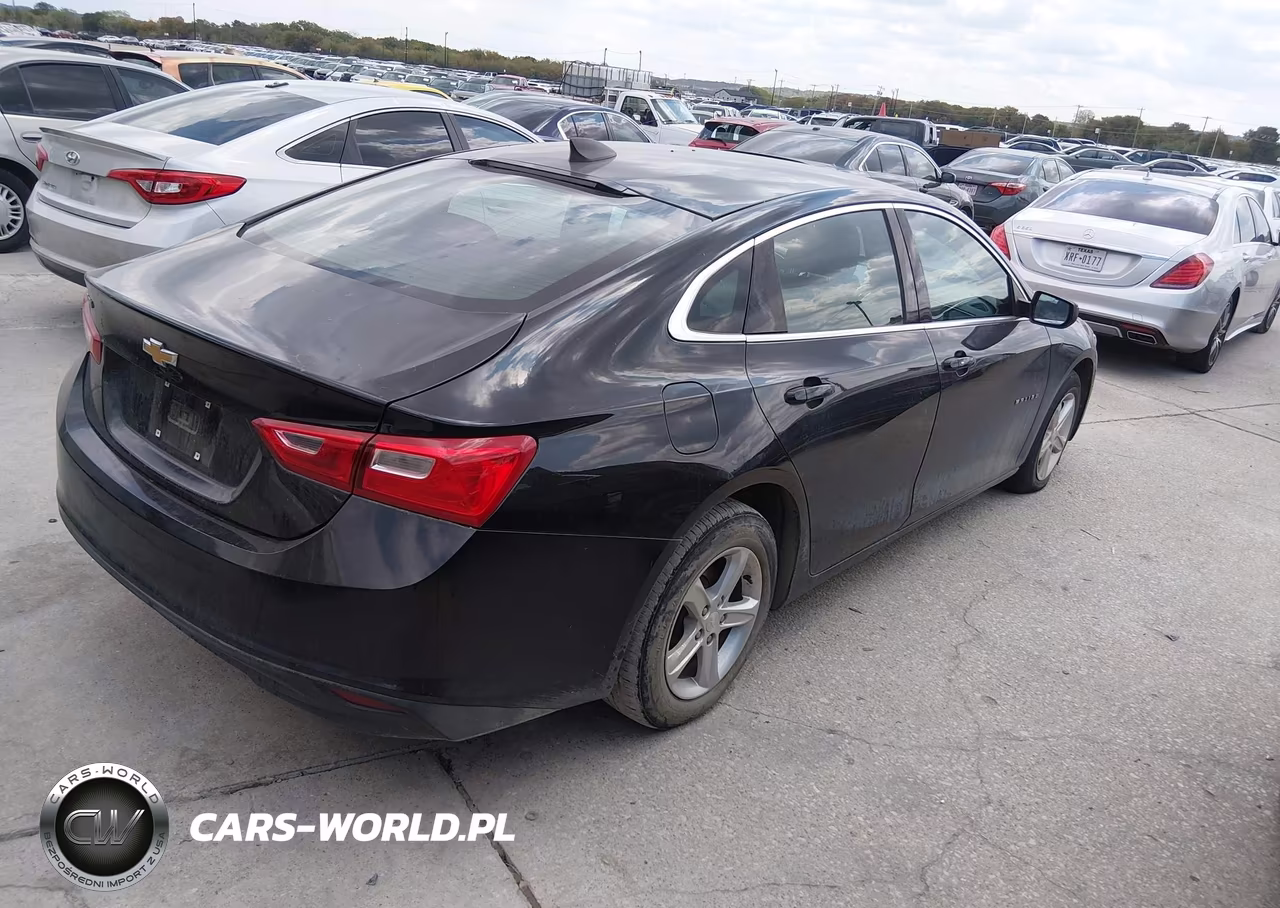 2019 Chevrolet Malibu 1Fl VIN:1G1ZC5ST8KF183420 - 4