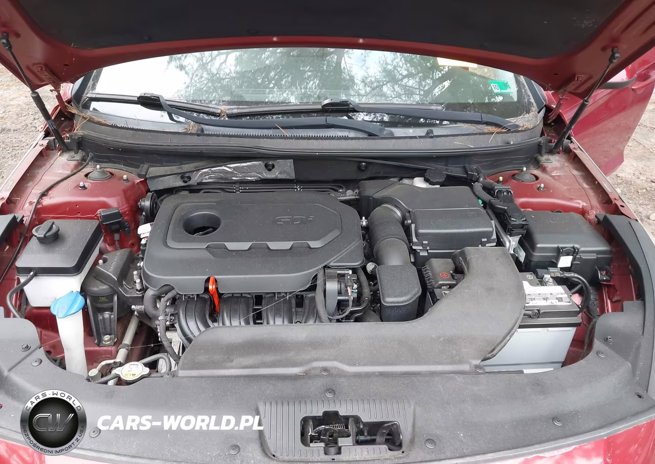 2015 Hyundai Sonata Se VIN:5NPE24AF1FH186573 - 10