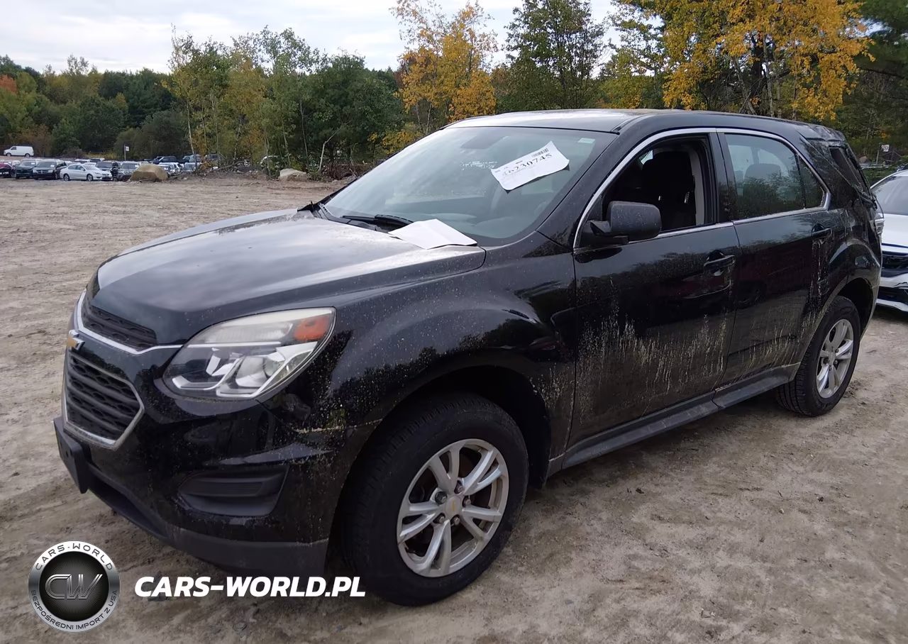 2017 Chevrolet Equinox Ls VIN:2GNFLEEK7H6217824 - 2