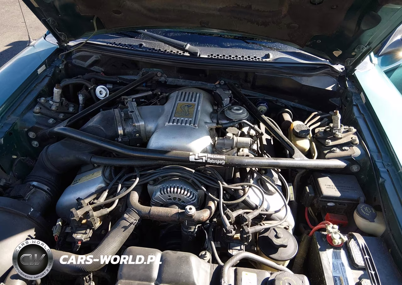 1997 Ford Mustang Cobra VIN:1FALP47V7VF192965 - 10