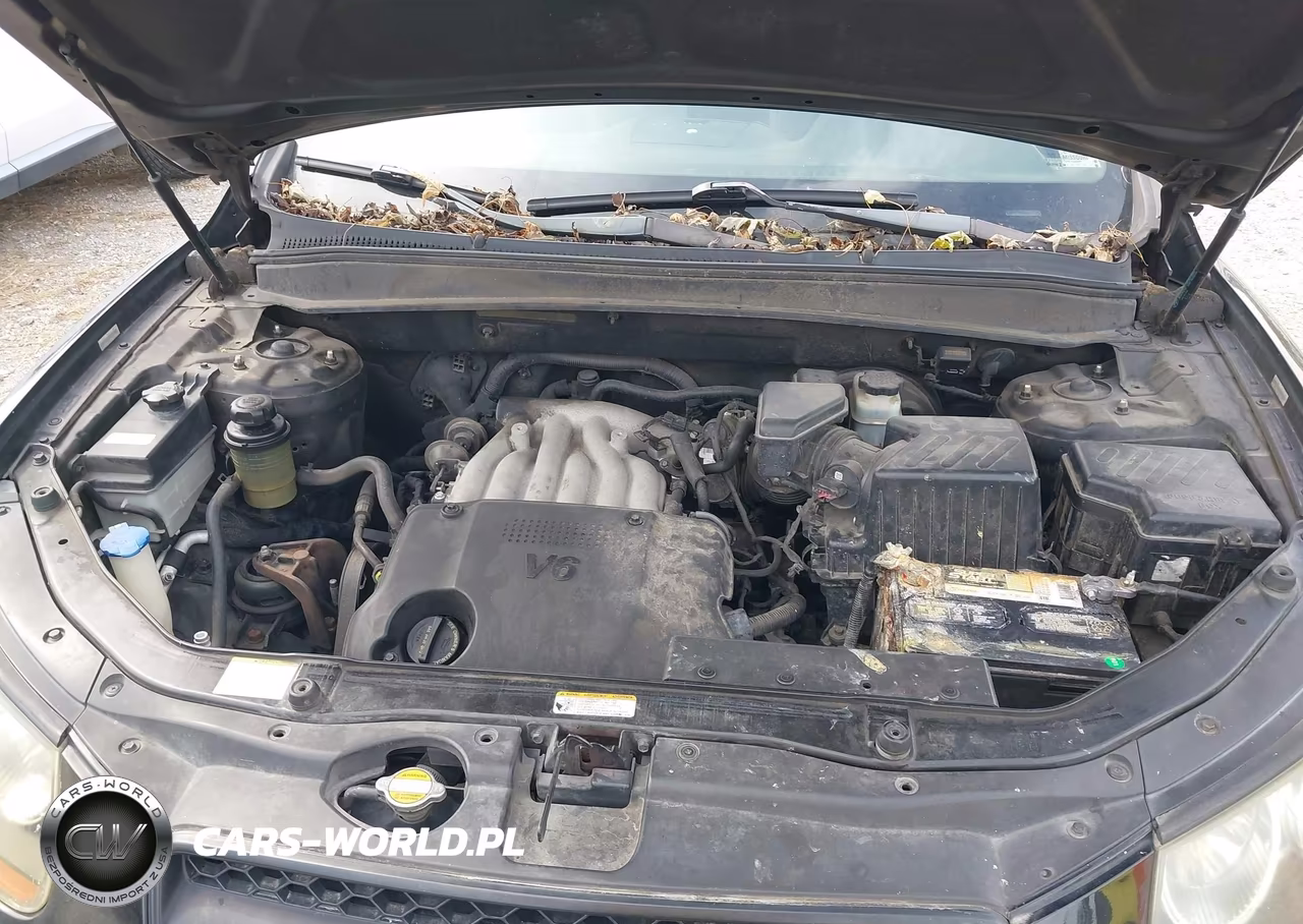2008 Hyundai Santa Fe Gls VIN:5NMSG13D78H205268 - 10