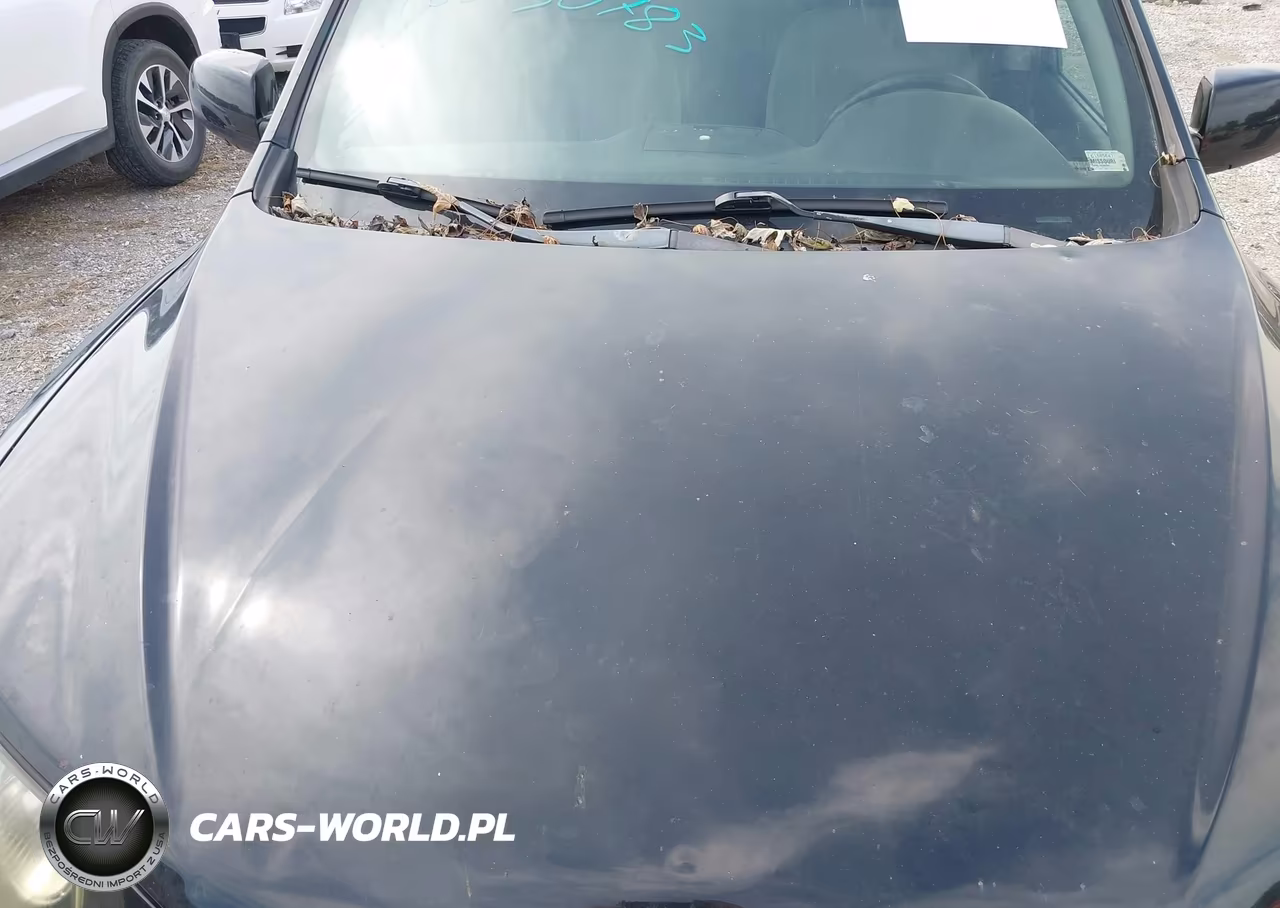 2008 Hyundai Santa Fe Gls VIN:5NMSG13D78H205268 - 6