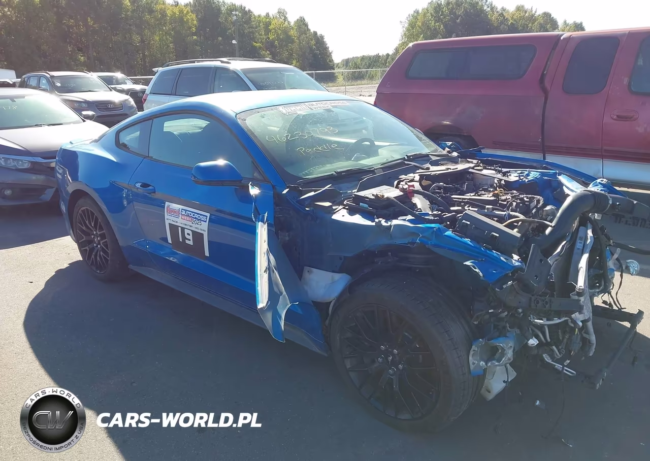 2019 Ford Mustang Ecoboost