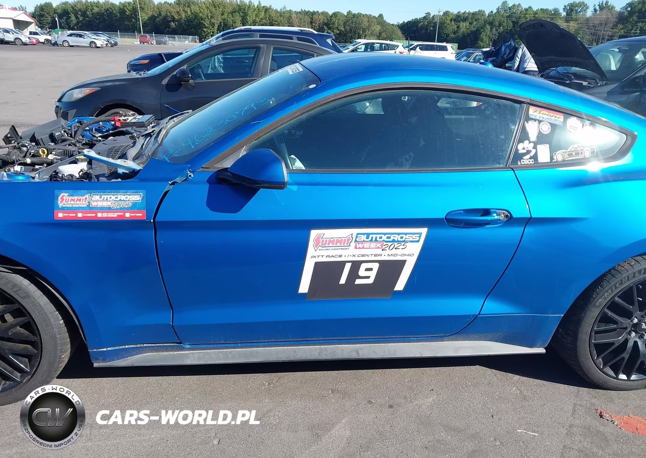 2019 Ford Mustang Ecoboost VIN:1FA6P8TH3K5167650 - 14
