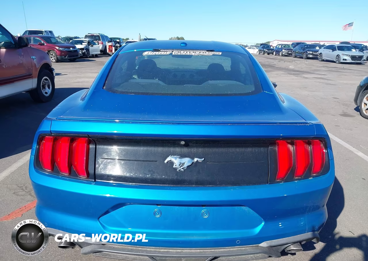 2019 Ford Mustang Ecoboost VIN:1FA6P8TH3K5167650 - 16