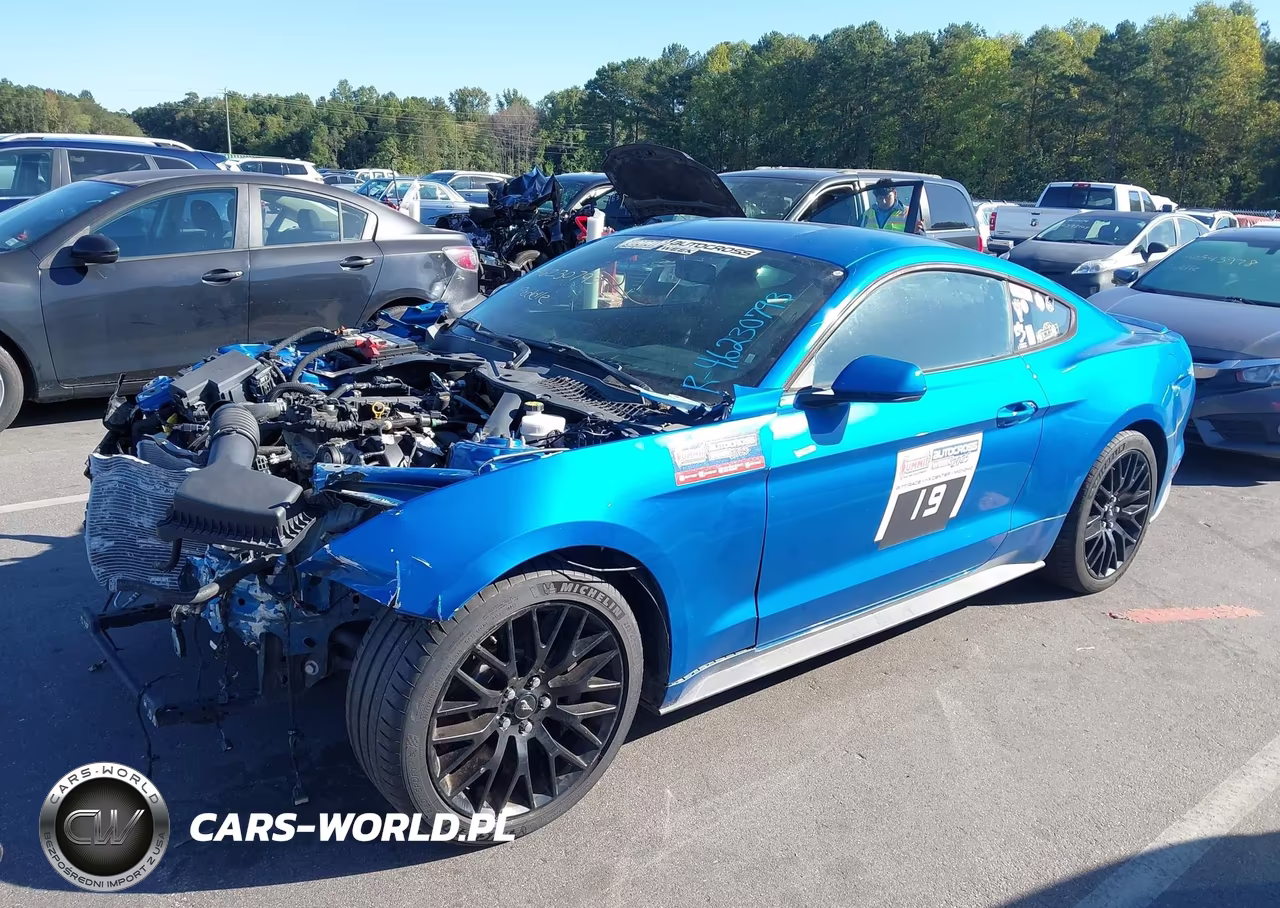 2019 Ford Mustang Ecoboost VIN:1FA6P8TH3K5167650 - 2