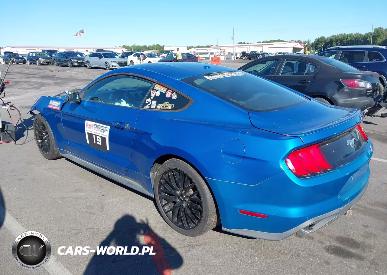 2019 Ford Mustang Ecoboost VIN:1FA6P8TH3K5167650 - 3
