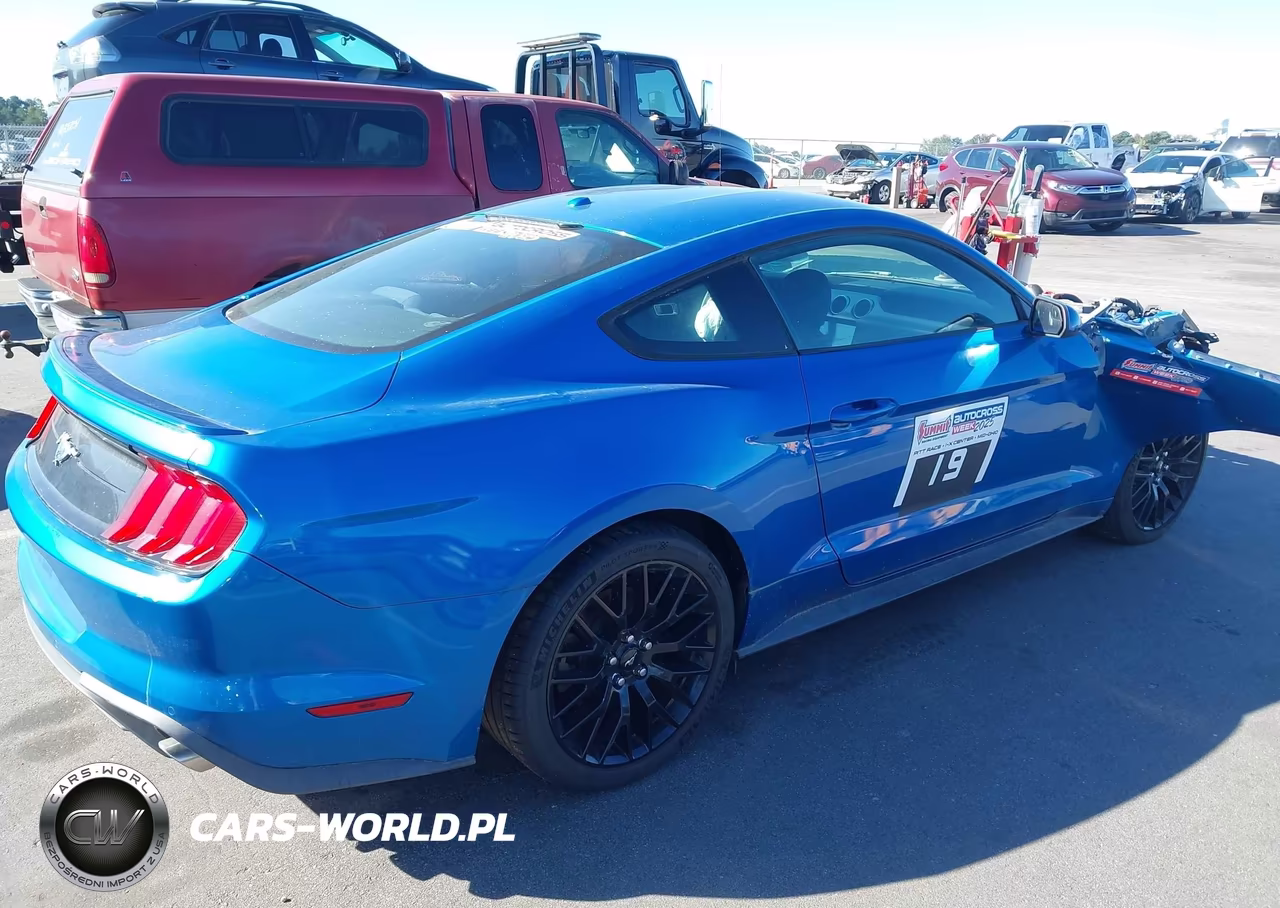 2019 Ford Mustang Ecoboost VIN:1FA6P8TH3K5167650 - 4