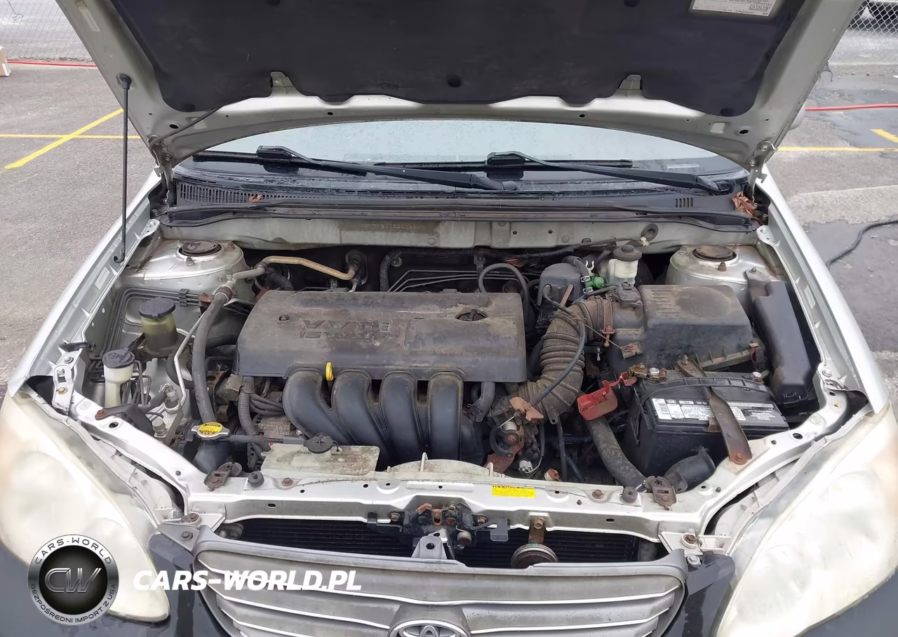 2004 Toyota Corolla Le VIN:JTDBR38E042030593 - 10
