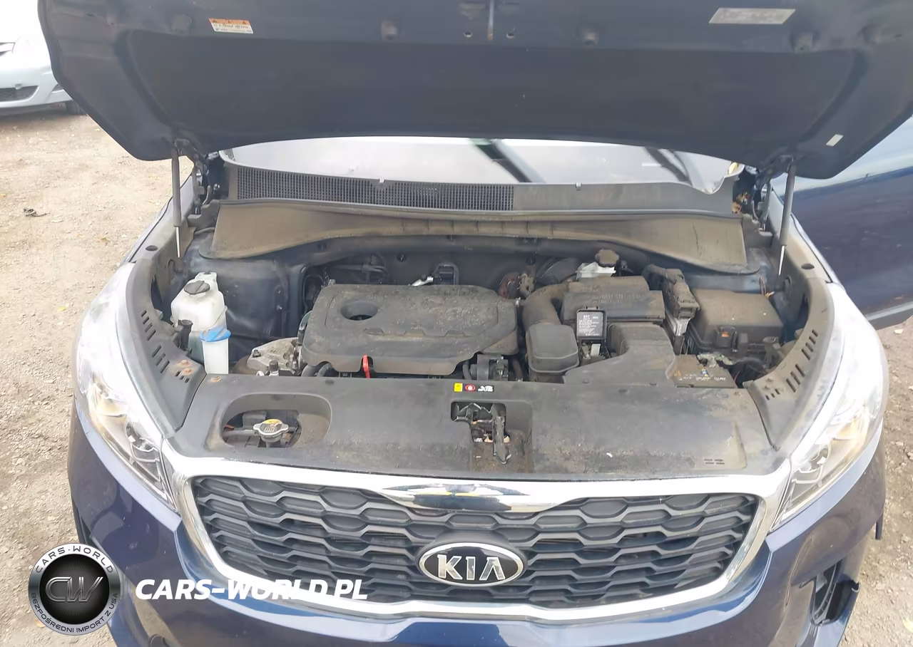 2019 Kia Sorento 2.4L Lx VIN:5XYPGDA3XKG462573 - 10