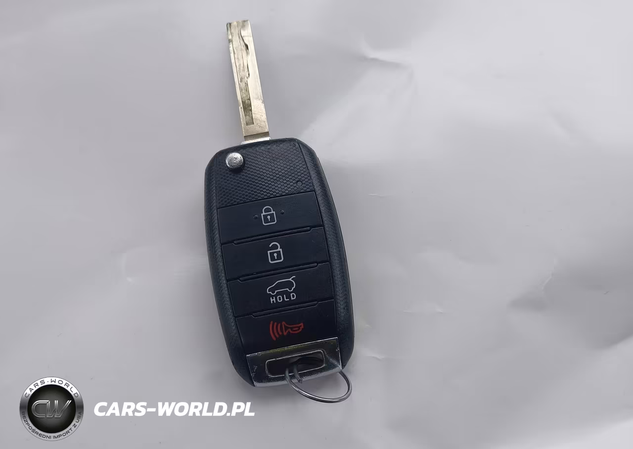 2019 Kia Sorento 2.4L Lx VIN:5XYPGDA3XKG462573 - 11