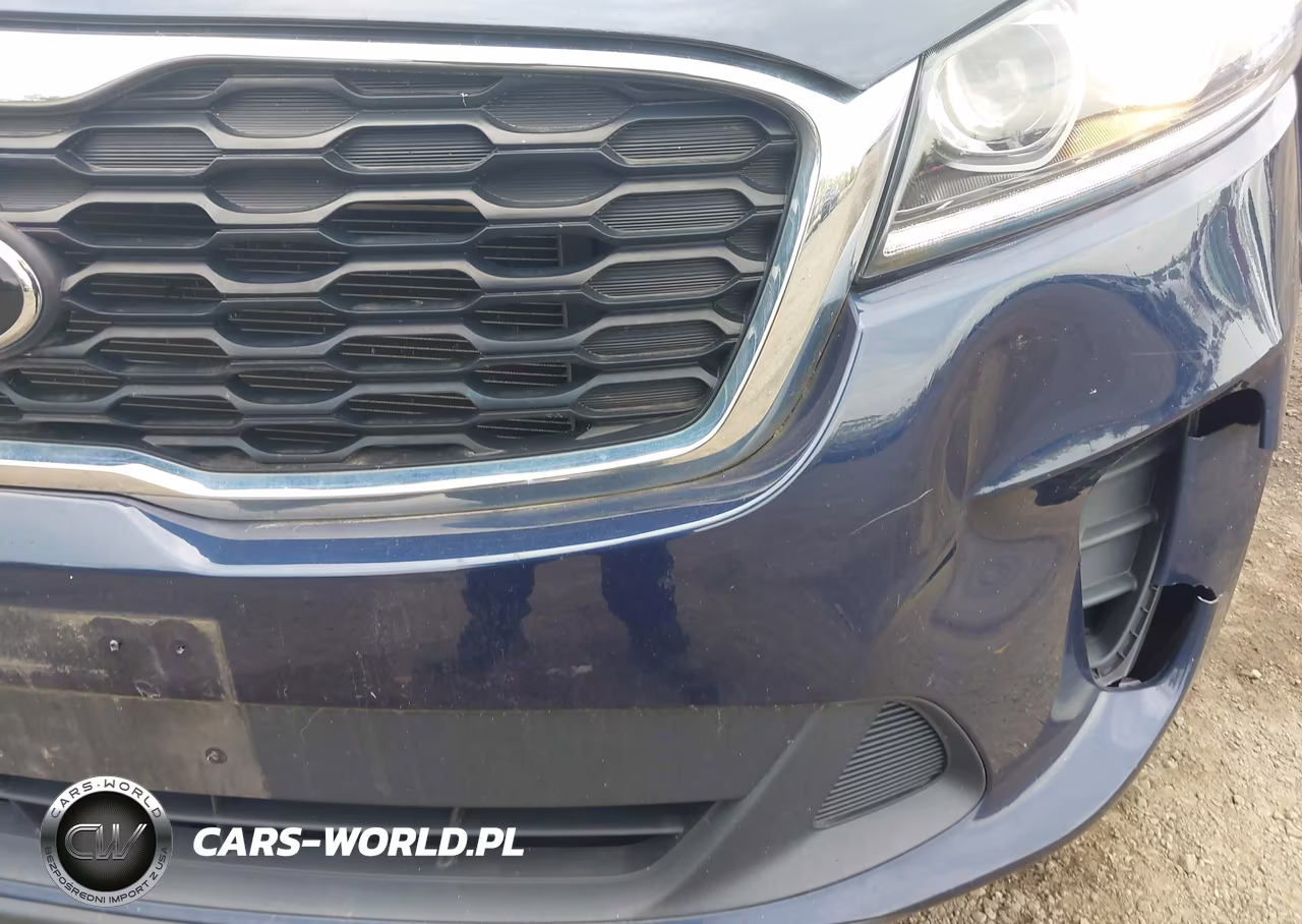 2019 Kia Sorento 2.4L Lx VIN:5XYPGDA3XKG462573 - 12