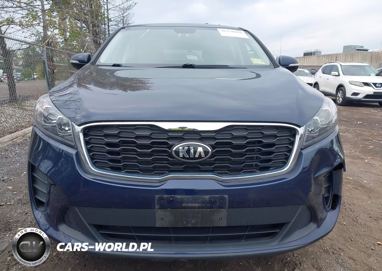 2019 Kia Sorento 2.4L Lx VIN:5XYPGDA3XKG462573 - 13