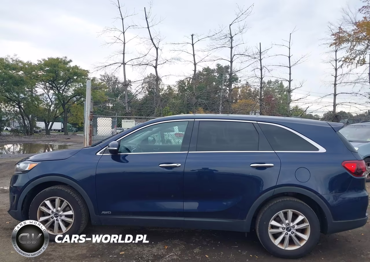 2019 Kia Sorento 2.4L Lx VIN:5XYPGDA3XKG462573 - 15