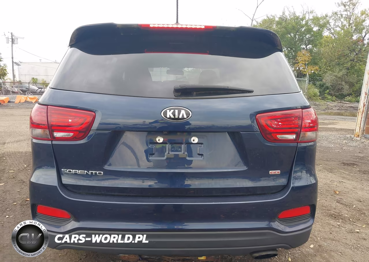 2019 Kia Sorento 2.4L Lx VIN:5XYPGDA3XKG462573 - 17