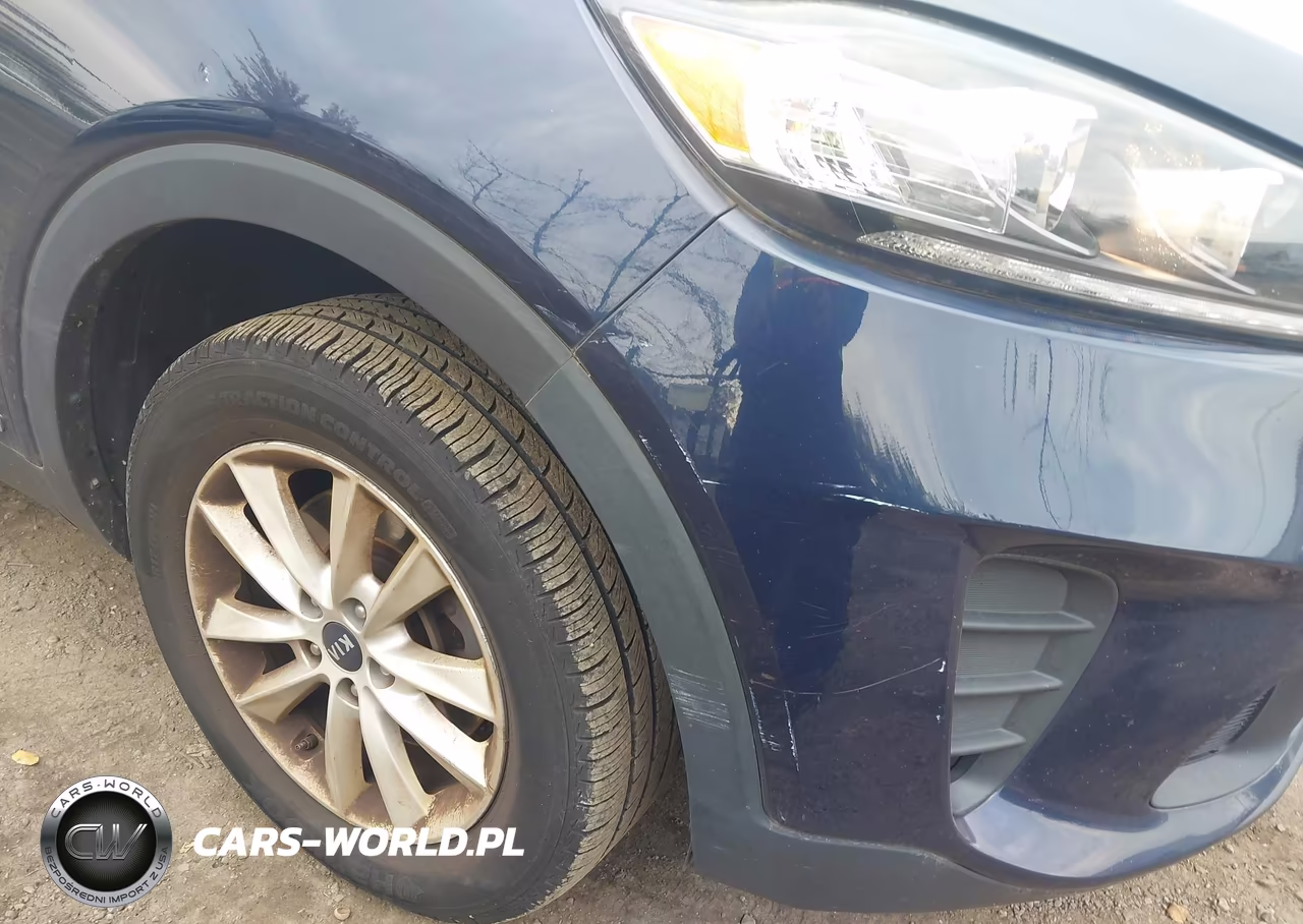 2019 Kia Sorento 2.4L Lx VIN:5XYPGDA3XKG462573 - 18