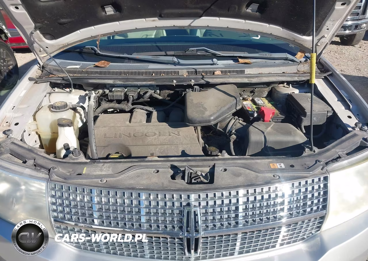 2009 Lincoln Mkx VIN:2LMDU88C69BJ04846 - 10