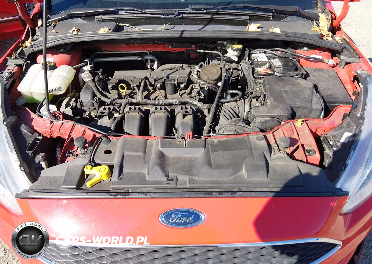 2016 Ford Focus Se VIN:1FADP3K2XGL238868 - 10
