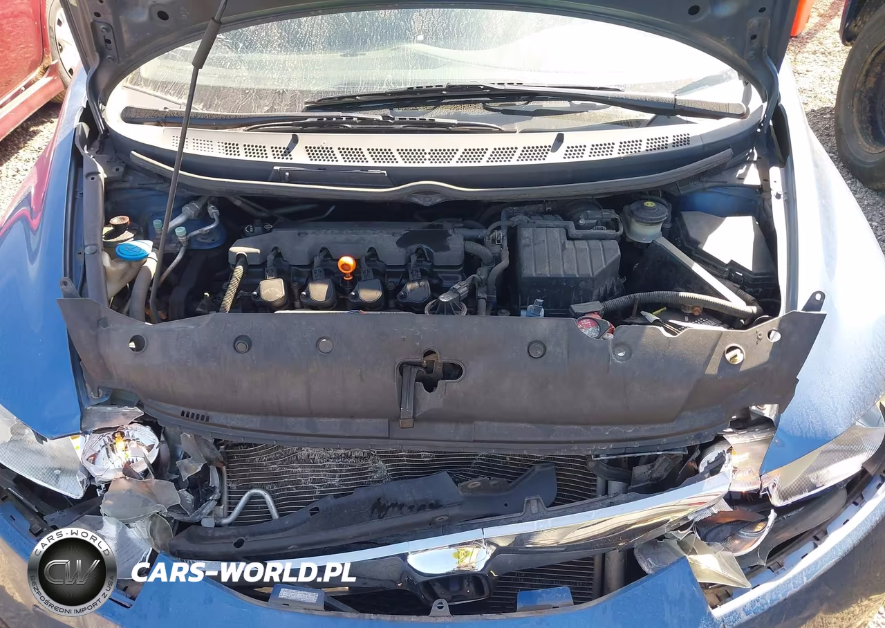 2009 Honda Civic Lx VIN:19XFA16539E045390 - 10