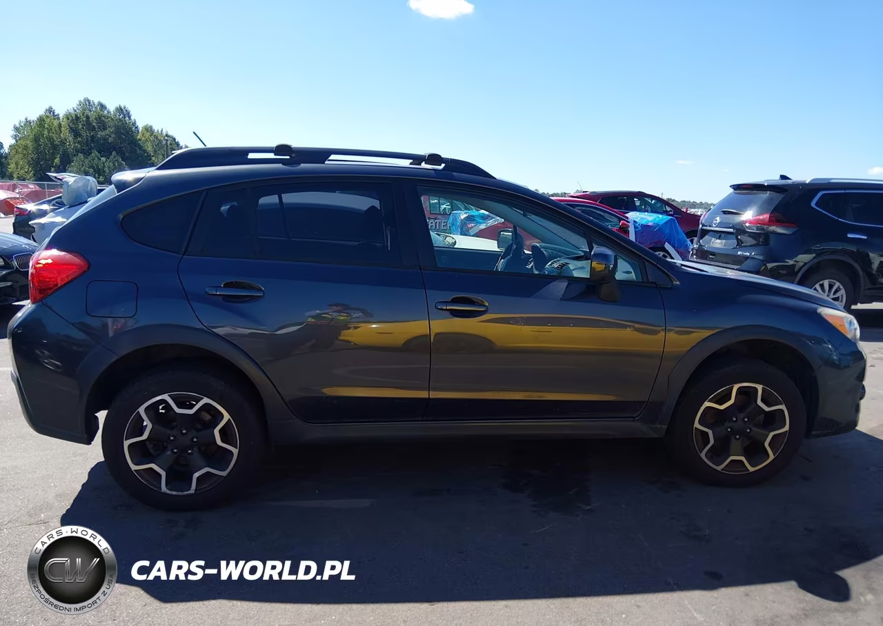 2014 Subaru Xv Crosstrek 2.0I Premium VIN:JF2GPAVC7E8310014 - 13