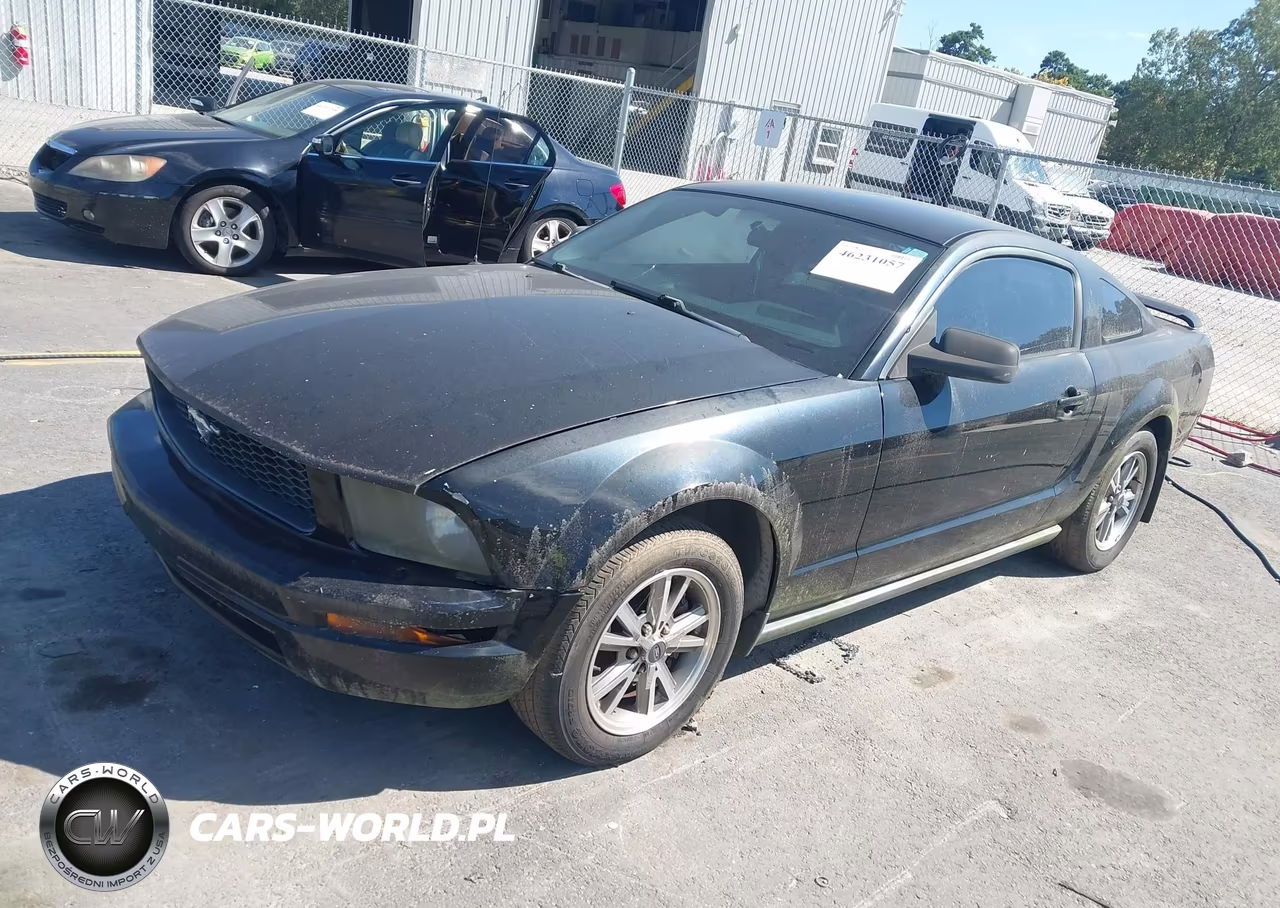 2005 Ford Mustang V6 Deluxe-V6 Premium VIN:1ZVHT80N955150880 - 2