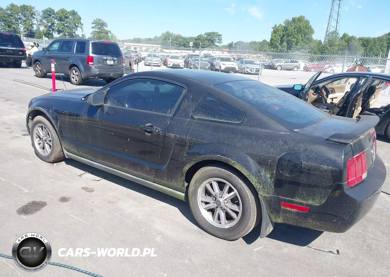 2005 Ford Mustang V6 Deluxe-V6 Premium VIN:1ZVHT80N955150880 - 3