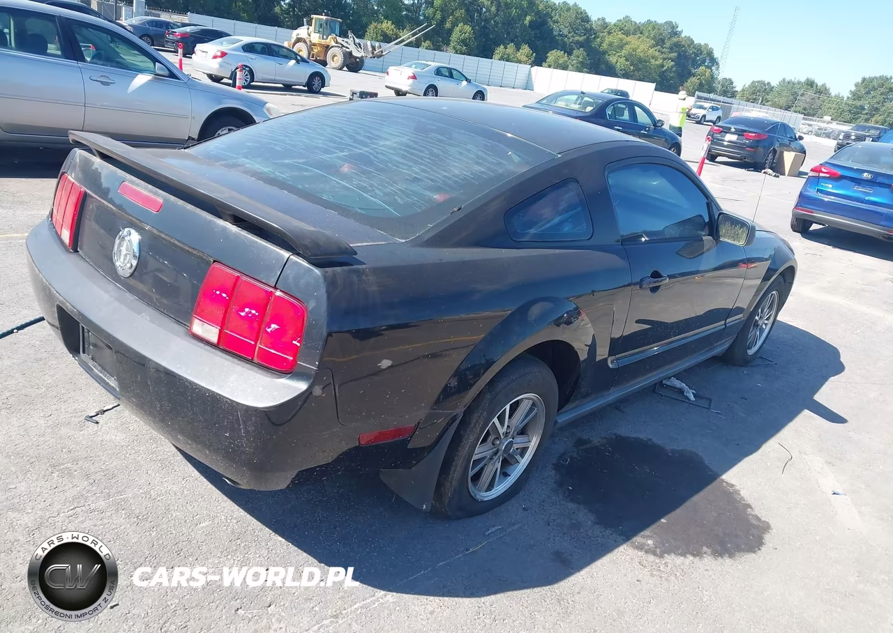 2005 Ford Mustang V6 Deluxe-V6 Premium VIN:1ZVHT80N955150880 - 4