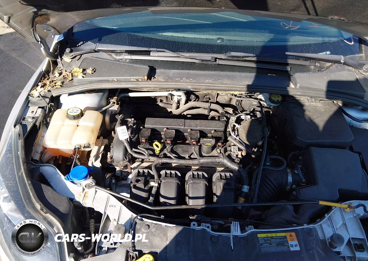 2013 Ford Focus Titanium VIN:1FADP3N26DL114975 - 10