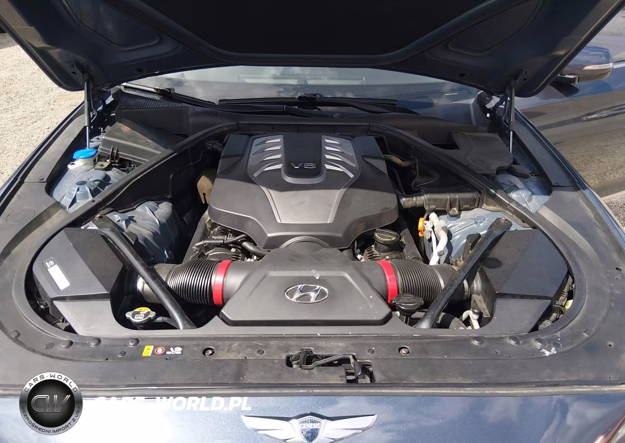 2015 Hyundai Genesis 5.0 VIN:KMHGN4JF1FU096499 - 10