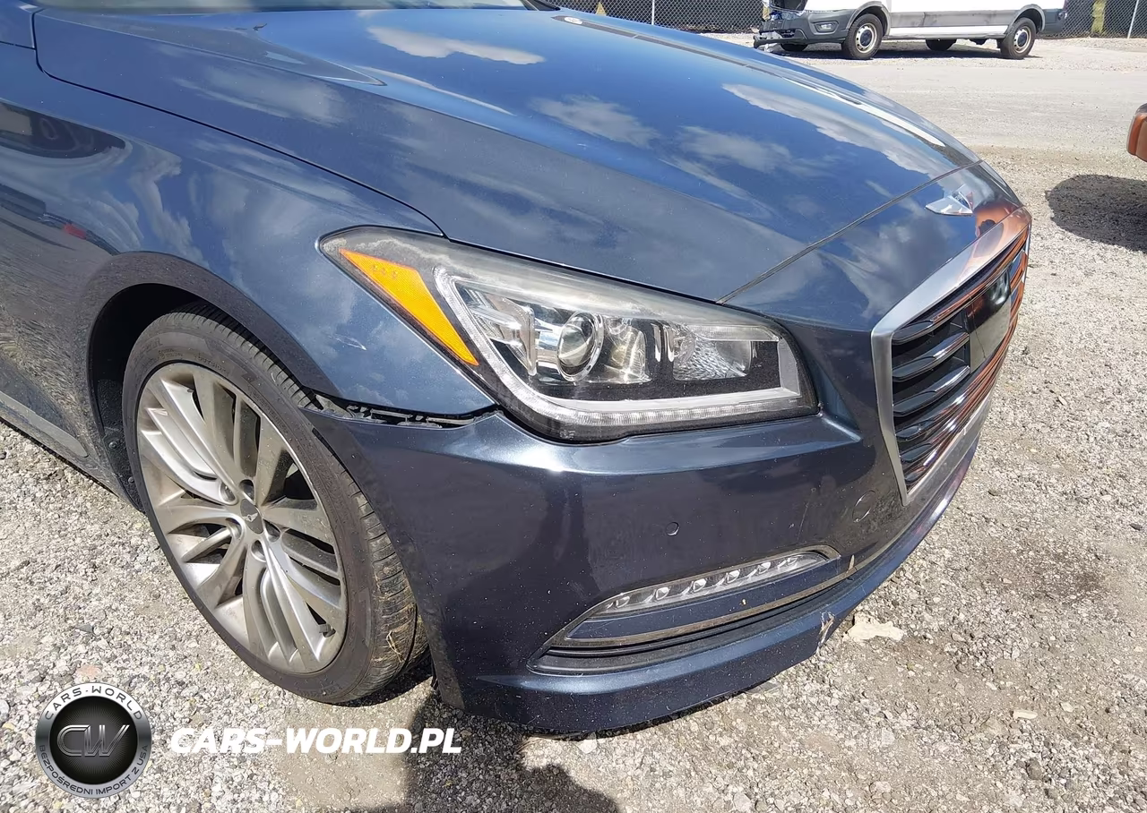 2015 Hyundai Genesis 5.0 VIN:KMHGN4JF1FU096499 - 6