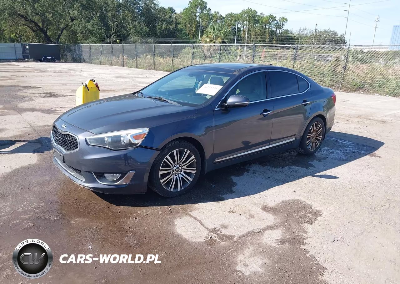 2014 Kia Cadenza Premium VIN:KNALN4D74E5141299 - 2