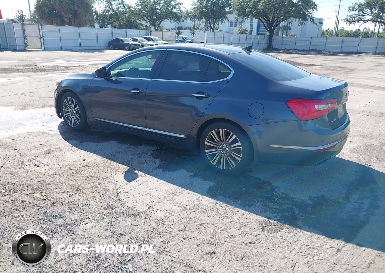 2014 Kia Cadenza Premium VIN:KNALN4D74E5141299 - 3