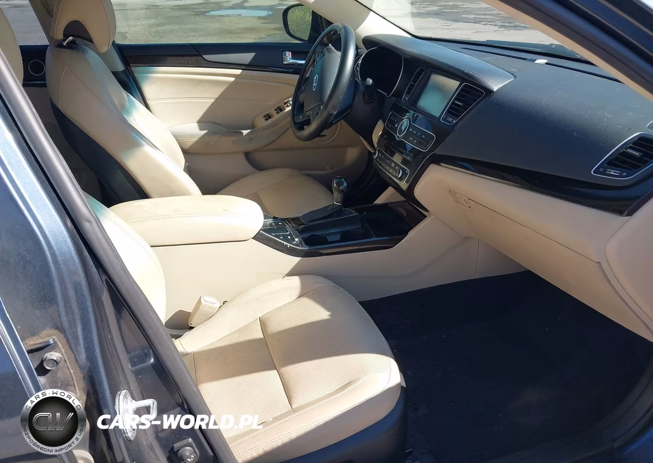 2014 Kia Cadenza Premium VIN:KNALN4D74E5141299 - 5