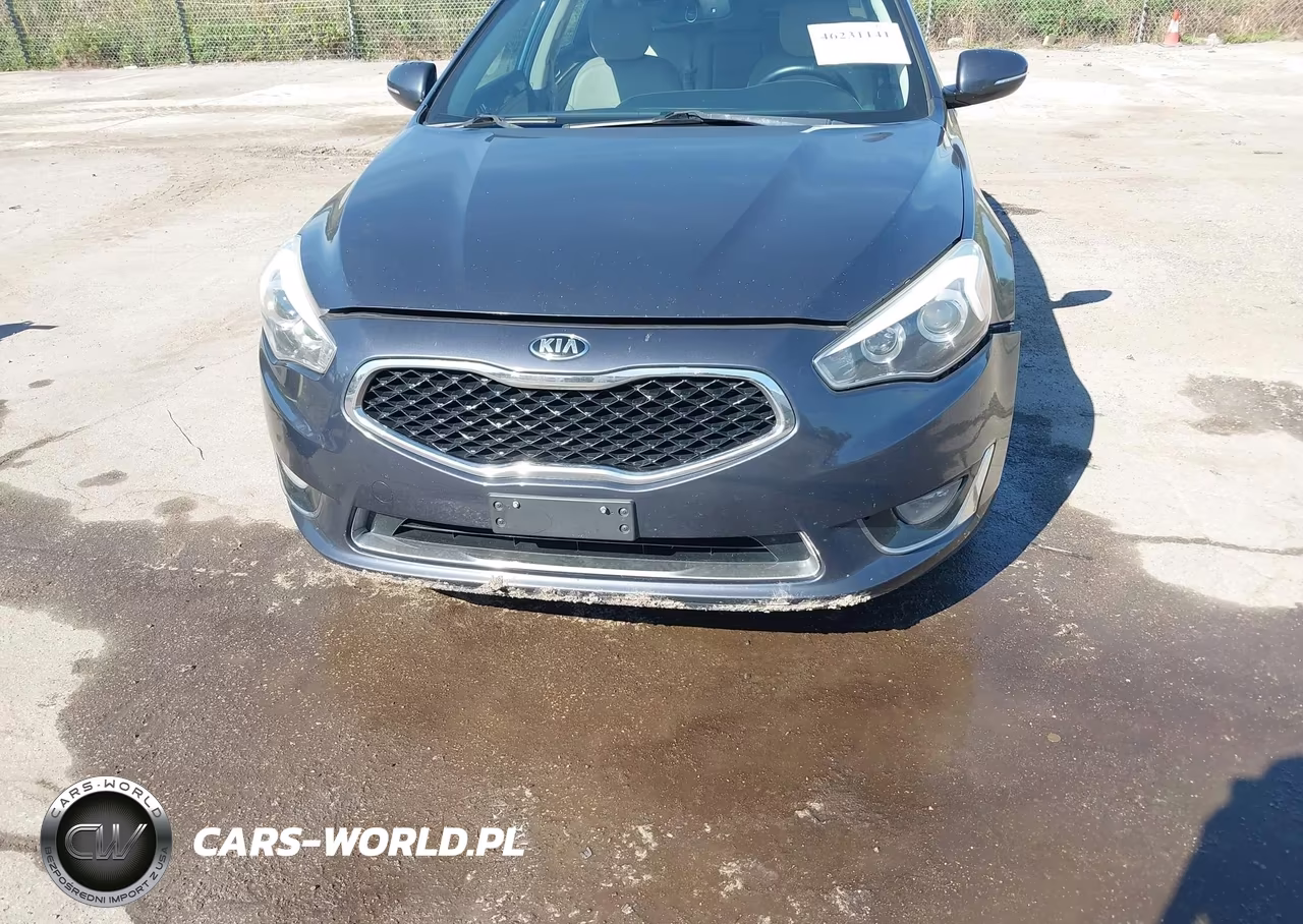 2014 Kia Cadenza Premium VIN:KNALN4D74E5141299 - 6
