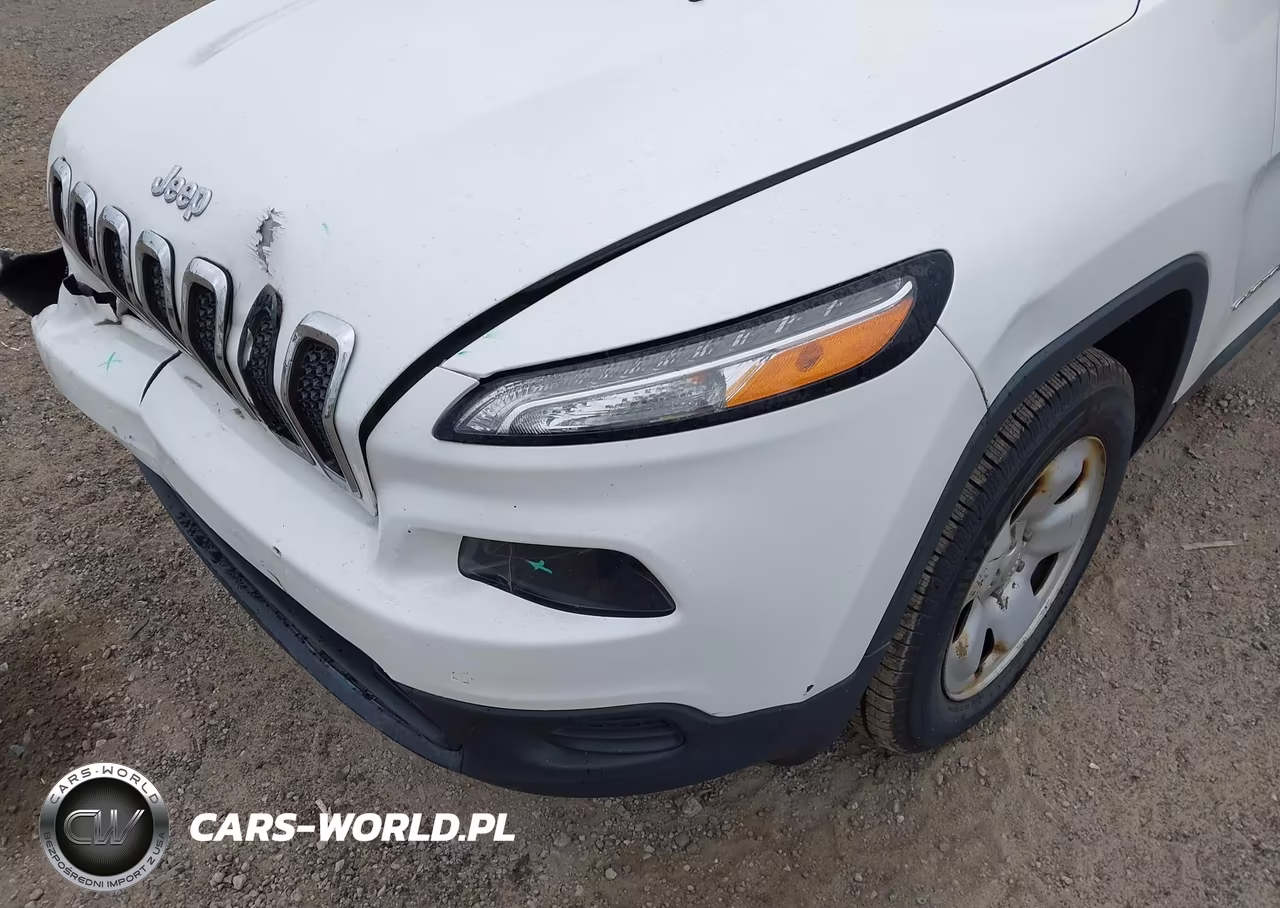 2016 Jeep Cherokee Sport VIN:1C4PJMAB1GW236165 - 17