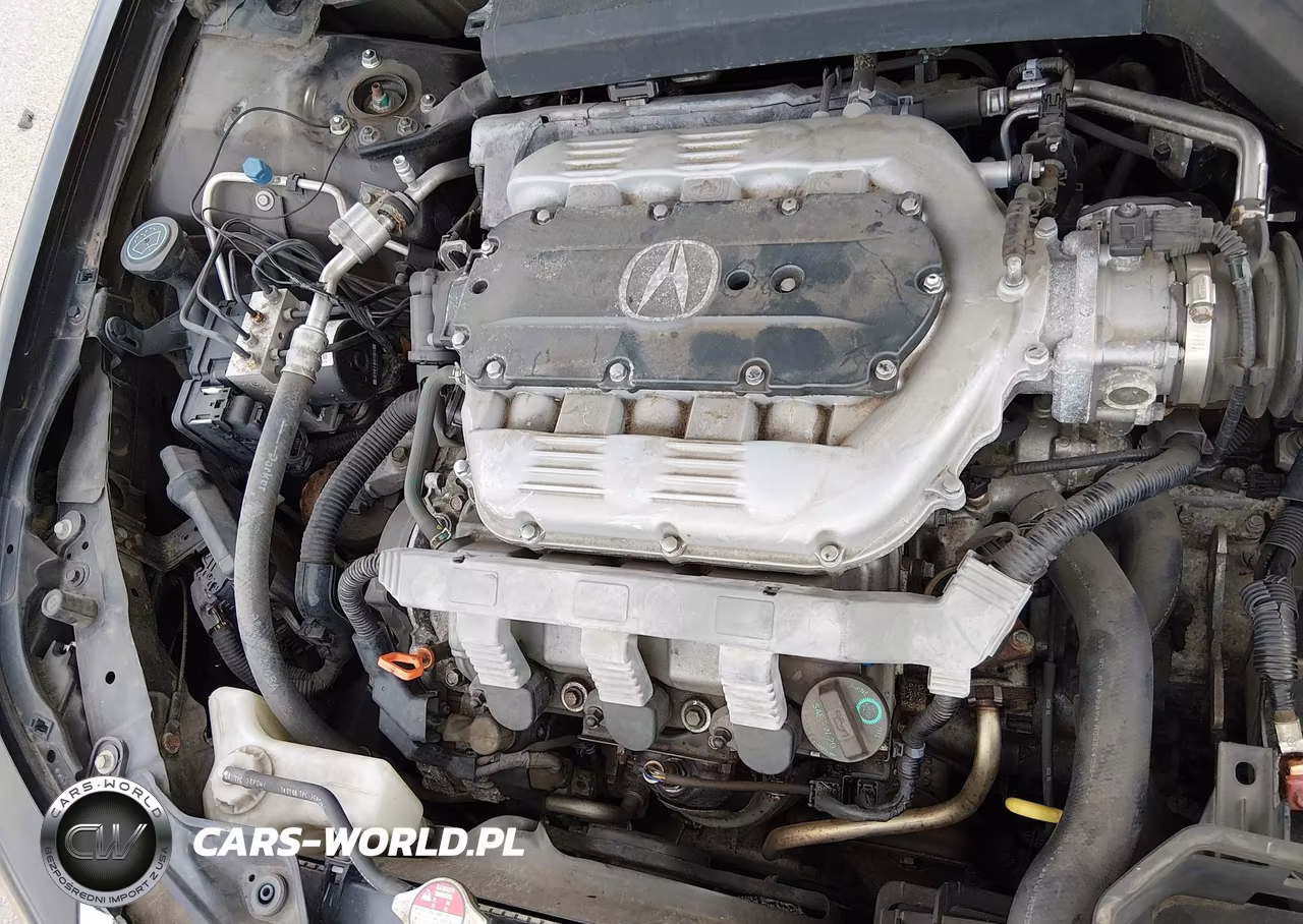 2009 Acura Tl 3.7 VIN:19UUA96579A001466 - 10