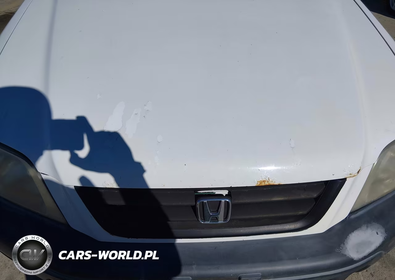 1999 Honda Cr-V Lx VIN:JHLRD1847XC061852 - 6
